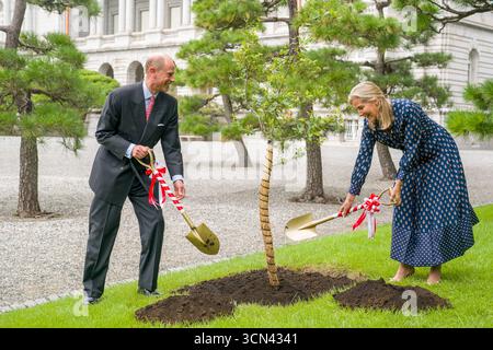 Le duc et la duchesse d'Édimbourg plantent un jeune arbre de chêne prélevé sur l'arbre planté par la reine Élisabeth II lors de la visite d'État en 1975, pour symboliser la relation étroite entre la Maison royale et la Maison impériale à la résidence Akasaka à Tokyo, le premier jour de leur visite au Japon. Date de la photo : vendredi 19 septembre 2025. Banque D'Images