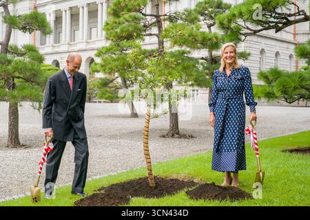 Le duc et la duchesse d'Édimbourg plantent un jeune arbre de chêne prélevé sur l'arbre planté par la reine Élisabeth II lors de la visite d'État en 1975, pour symboliser la relation étroite entre la Maison royale et la Maison impériale à la résidence Akasaka à Tokyo, le premier jour de leur visite au Japon. Date de la photo : vendredi 19 septembre 2025. Banque D'Images