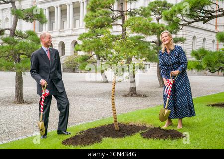 Le duc et la duchesse d'Édimbourg plantent un jeune arbre de chêne prélevé sur l'arbre planté par la reine Élisabeth II lors de la visite d'État en 1975, pour symboliser la relation étroite entre la Maison royale et la Maison impériale à la résidence Akasaka à Tokyo, le premier jour de leur visite au Japon. Date de la photo : vendredi 19 septembre 2025. Banque D'Images