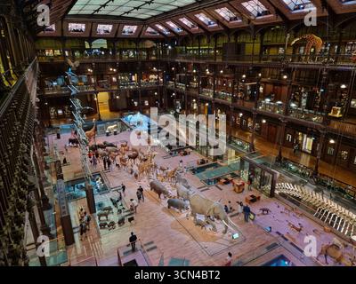 Paris, France - 9 juin 2023 : Grande Galerie de l'Evolution Museum à Paris. Banque D'Images