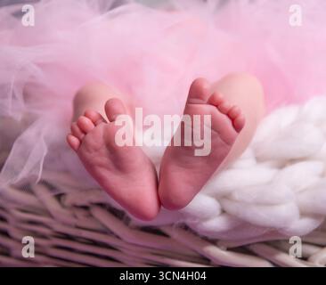 Pieds minuscules d'un nouveau-né en tulle rose et plaid Banque D'Images