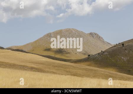 Vue sur une chaîne de montagnes majestueuse s'élève de champs d'herbe dorée sous un ciel doux, créant un paysage serein, Isola del Gran Sasso D'italia, Abruzzes, Italie. Banque D'Images