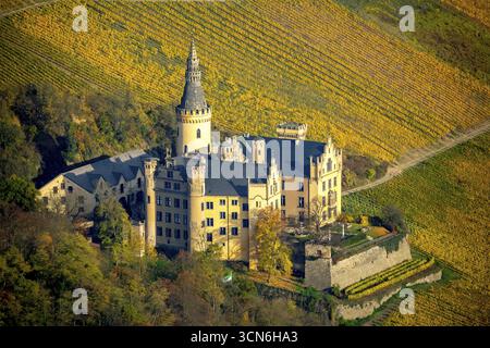 Vignobles en automne, feuilles de vigne, vendanges tardives, château d'Arensfels, propriété du baron Antonius Geyr von Schweppenburg, Bad Breisig, district de Neuwied, Rhin Banque D'Images