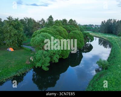 Une photo aérienne à bas angle d'une rivière sinueuse entourée d'arbres verts ronds et luxuriants, avec une petite tente visible sur la rive. Banque D'Images