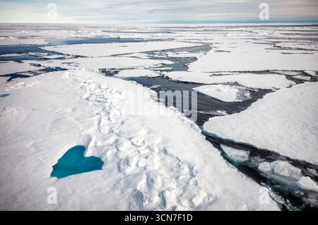 Sjuøyane sept îles Svalbard Océan Arctique Norvège // SVALBARD ET Jan MAYEN — L'océan Arctique au large des côtes du Svalbard présente un paysage fragmenté de glace de mer, avec des canaux d'eau libre traversant l'étendue gelée. L'archipel des Sjuøyane, ou sept îles, est situé dans cette région de l'océan Arctique, au nord du continent du Svalbard. Cette zone est caractérisée par son extrême latitude nord et fait partie du territoire du Svalbard et Jan Mayen. La nature dynamique de la glace de mer est évidente, les floes se séparant et formant des motifs complexes. Banque D'Images
