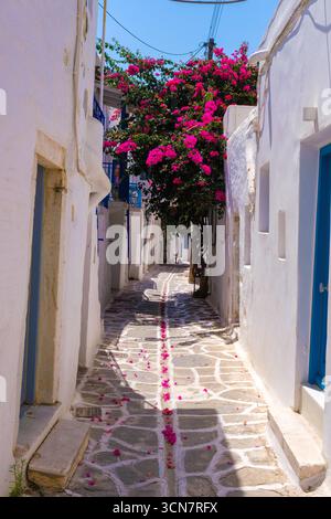 Une rue pittoresque à Parikia avec un bougainvillier en fleurs, typique de l'atmosphère de l'île des Cyclades Banque D'Images