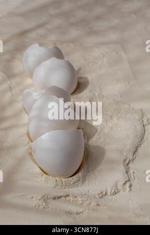 Coquille d'oeuf dans la neige faite de farine. Mise en page créative. Pop art. Banque D'Images