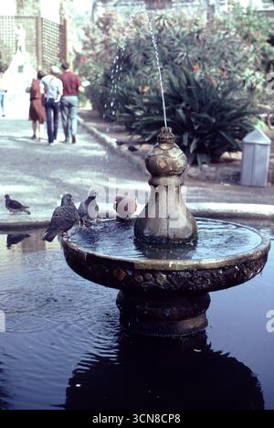 San Juan Capistrano, CA., États-Unis mai 1981. La Grande église en pierre de la mission, composée de pierres naturelles et de briques rouges cuites, a commencé en 1797 et s’est achevée en 1806. Le 8 décembre 1812, un grave tremblement de terre a effondré le toit de l’Église tuant plus de 40 paroissiens. La Grande église de pierre n'a pas été reconstruite et reste telle que vous la voyez aujourd'hui Banque D'Images