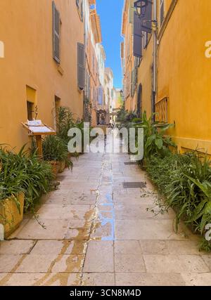 Saint Tropez, France - 13 juillet 2024 : paysage du centre-ville. Rue de la Ponche est une ruelle étroite, ici avec des plantes vertes des deux côtés du canyon formé Banque D'Images