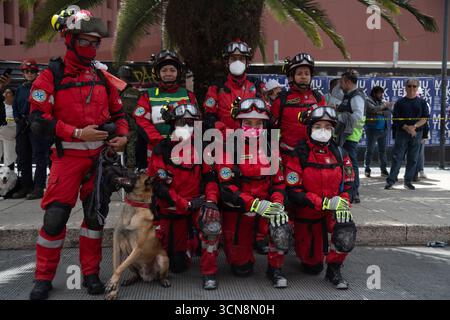 Mexico, Mexique. 19 septembre 2025. Sauveteurs lors d’exercices de sauvetage hypothétiques dans différentes situations à risque telles que l’incendie, l’effondrement et le sauvetage canin lors du National Mega Drill 2025 en commémoration des tremblements de terre de 1985 et 2017. Le 19 septembre 2025 à Mexico, Mexique. (Photo de Marco Gonzalez / Eyepix Group / Sipa USA) crédit : Sipa USA / Alamy Live News Banque D'Images