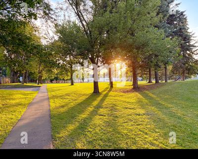 Parc sentier à l'heure dorée avec la lumière du soleil tamisant à travers les arbres verdoyants, projetant de longues ombres sur l'herbe. Un bâtiment et une aire de jeux Banque D'Images