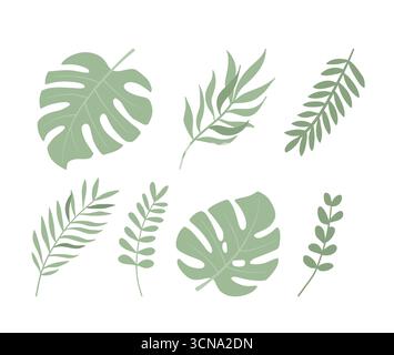 Ensemble de feuilles tropicales illustration vectorielle plate. Plante exotique sur fond blanc Illustration de Vecteur
