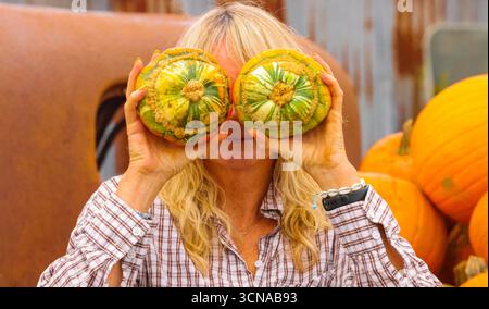 Tulleys Farm West Sussex England 20 Sep 2025 le festival saisonnier de la citrouille commence aujourd'hui, avec des champs pleins de citrouilles et des possibilités de photos.20 Sep 2025 fin octobre Paul Quezada Neiman/Alamy Live News Banque D'Images