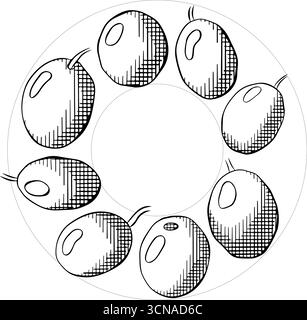 Modèle carré de cercle de baies noires olive. Illustration noir et blanc d'encre de ligne graphique vectorielle. Romarin sans fruits, cadre de cercle de feuille de laurier pour la carte, fo Illustration de Vecteur