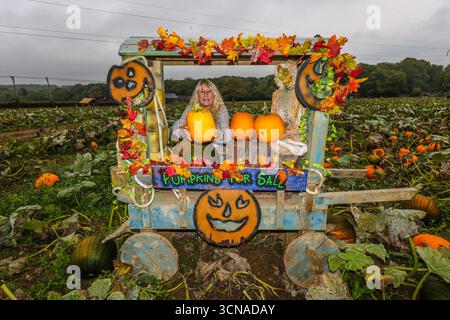 Tulleys Farm West Sussex England 20 Sep 2025 le festival saisonnier de la citrouille commence aujourd'hui, avec des champs pleins de citrouilles et des possibilités de photos.20 Sep 2025 fin octobre Paul Quezada Neiman/Alamy Live News Banque D'Images