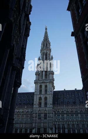 La Tour de l'Hôtel de ville de Bruxelles entre bâtiments, au crépuscule, Belgique Banque D'Images