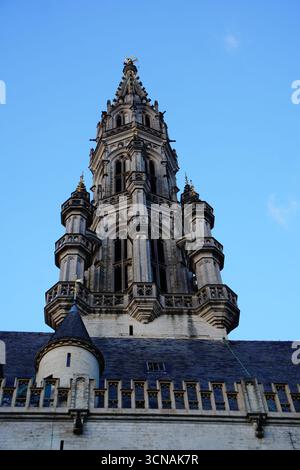 Ci-dessous la Tour de l'Hôtel de ville de Bruxelles, au crépuscule, Belgique Banque D'Images