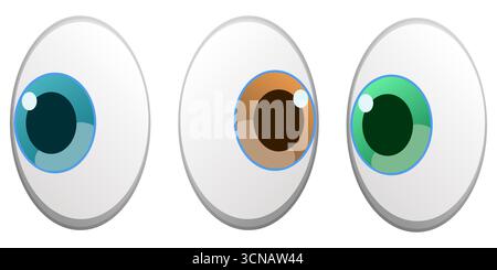 Ensemble de globes oculaires pour émoticônes, emoji ou réaction sur les médias sociaux. Illustration vectorielle. Illustration de Vecteur