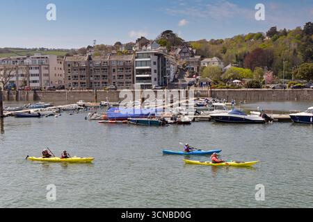 Dartmouth, Devon, Angleterre, Royaume-Uni - 24 avril 2025 : groupe de personnes faisant du kayak sur la rivière Dart Banque D'Images
