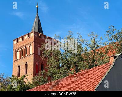 Ancienne église catholique en briques du XIVe siècle avec flèche pointue et toit en tuiles rouges partiellement encadrée par des arbres verts environnants. Banque D'Images