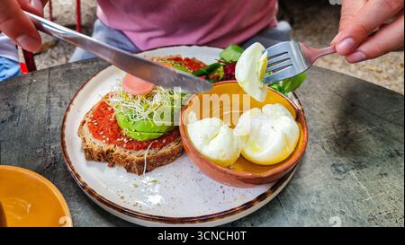 Pain grillé à l'avocat garni de tartinade de tomates, de germes de luzerne et de graines de sésame, servi avec des œufs pochés à la coque et des légumes verts frais. Banque D'Images