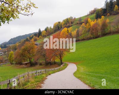 Vue spectaculaire de Santa Maddalena en automne. Célèbre village de montagne Dolomites à Val di Funes, Tyrol du Sud, Italie. Une étroite route locale menait au village Banque D'Images