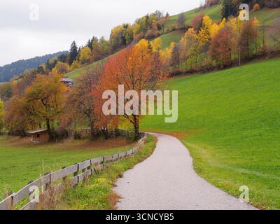 Vue spectaculaire de Santa Maddalena en automne. Célèbre village de montagne Dolomites à Val di Funes, Tyrol du Sud, Italie. Une étroite route locale menait au village Banque D'Images