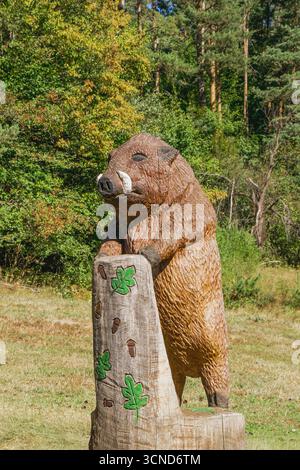 Gros plan d'une statue de sanglier en bois fabriquée à la main dans un parc forestier, sculpture détaillée de caractéristiques animales avec des feuilles de chêne et des glands décorés Banque D'Images