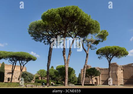 Les thermes de Caracalla à Rome étaient les deuxièmes plus grands bains publics romains. Les bains étaient comme construits entre AD212 et 217, à Rome Banque D'Images
