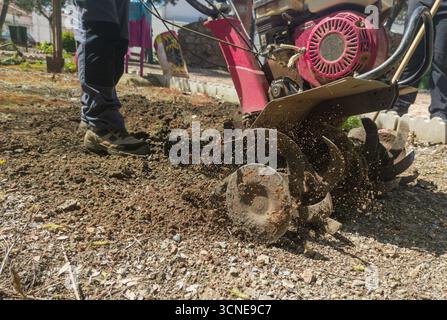 Timon à essence en action. Préparation dans la tâche au sol dans le jardinage Banque D'Images