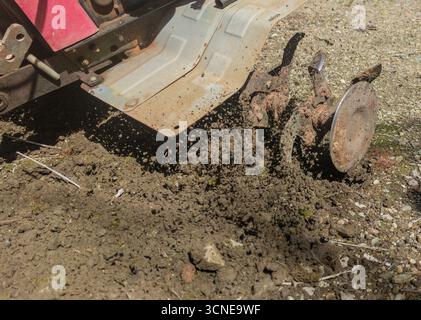 Timon à essence en action. Préparation dans la tâche au sol dans le jardinage Banque D'Images