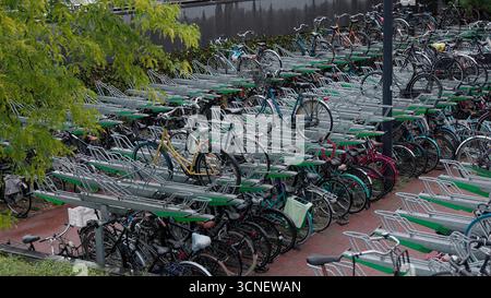 ROTTERDAM, PAYS-BAS - 13 SEPTEMBRE 2025 - les vélos stationnés dans un grand rack multi-niveaux, promouvant le transport urbain durable Banque D'Images