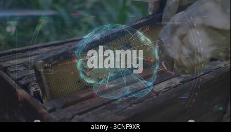 Tenant les mains gantées scannant le cadre en nid d'abeilles dans le rucher, projetant la superposition holographique du cerveau Banque D'Images