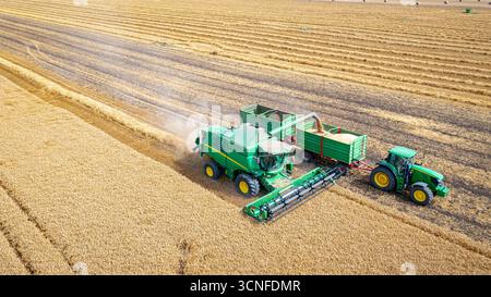 Vue au-dessus de la récolteuse, moissonner le blé mûr et décharger en mouvement. Le tracteur avec deux remorques roule en parallèle dans le transbordement Banque D'Images