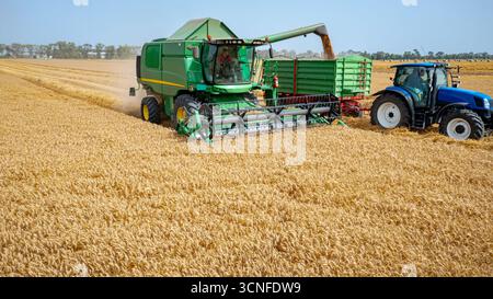 Vue au-dessus de la récolteuse, moissonner le blé mûr et décharger en mouvement. Le tracteur avec deux remorques roule en parallèle dans le transbordement Banque D'Images