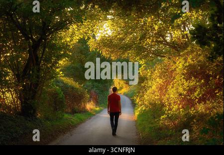 Homme profitant d'une promenade sur un chemin dans un tunnel d'arbre avec la lumière chaude du soleil illuminant le feuillage Banque D'Images