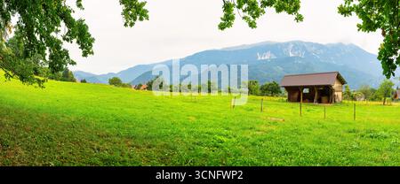 Paysage de montagne avec des prairies verdoyantes et de petits chalets à Vintgar, Slovénie Banque D'Images