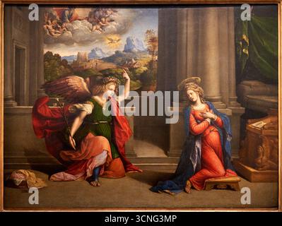 Annonciation, 1535, huile sur panneau, Benvenuto Tisi detto GAROFALO, Galerie des Offices, Galeria degli Offices, Florence, Florence, Florence, Florence, Toscane, Italie Banque D'Images