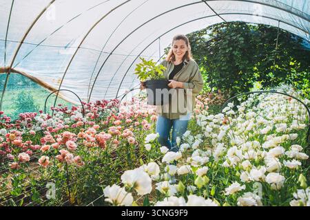 Femme souriante fleuriste propriétaire de petite entreprise travaillant dans la serre pleine de fleurs en fleurs, portant soigneusement le pot de fleurs et profitant du culte durable Banque D'Images