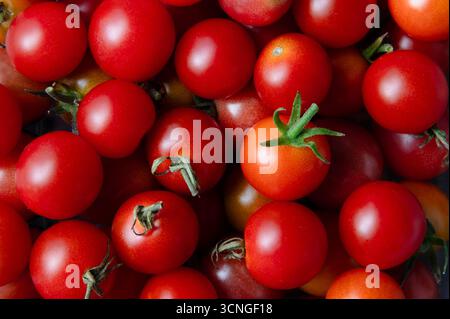 Pile de tomates cerises rouges, plein cadre Banque D'Images