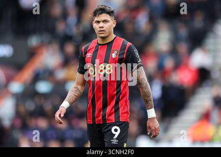 Vitality Stadium, Boscombe, Dorset, Royaume-Uni. 21 septembre 2025. Premier League Football, AFC Bournemouth contre Newcastle United ; Evanilson de l'AFC Bournemouth crédit : action plus Sports/Alamy Live News Banque D'Images