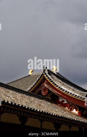 Toits en tuiles ornées du temple Todai-ji à Nara contre un ciel couvert Banque D'Images