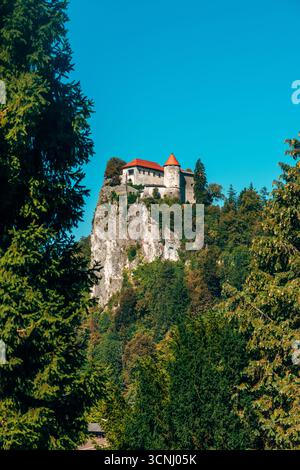 Le château historique de Bled, le plus ancien château de Slovénie, construit en 1004, présente l'architecture médiévale et le patrimoine culturel sur une falaise rocheuse au-dessus du lac Banque D'Images