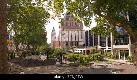 Musée d'histoire naturelle, Londres SW7, Royaume-Uni. Vue du côté est depuis Exhibition Road, 2025 montrant la nouvelle amélioration du jardin oriental à l'aide de tre Banque D'Images