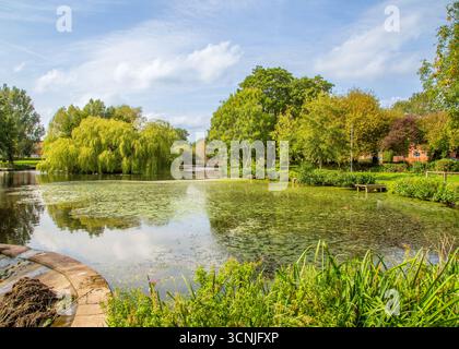 Zone boisée animée avec étang de pêche à Redditch, Royaume-Uni. Banque D'Images