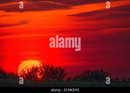 Le soleil s'enfonce dans l'horizon alors que le crépuscule doux s'installe à travers le champ ouvert et les buissons bas. Les nuages orange rouge et rose s'estompent au bleu pour former un cal doux Banque D'Images