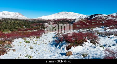 Volcan Copahue vu du côté de Caviahue Banque D'Images