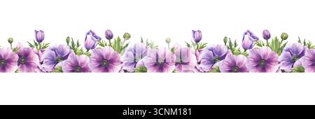 Anémones fleurs violettes avec des bourgeons roses, feuilles vertes aquarelle bordure sans couture. Mariage floral florissant réaliste, clipart répété de la Saint-Valentin Banque D'Images