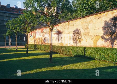 Photographie analogique d'un mur en décomposition avec des ombres d'arbres projetées à travers lui au coucher du soleil. La lumière et les textures chaleureuses et nostalgiques créent une atmosphère calme et émotionnelle Banque D'Images