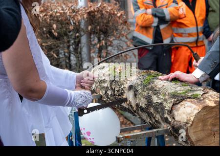 Une mariée et un marié pendant le sciage traditionnel d'un tronc d'arbre après le mariage du bureau d'enregistrement Banque D'Images